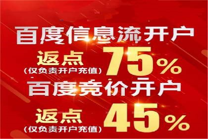 信息流竞价竞争策略：成功案例解析